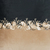 Almofadas Silvia Heringer Arabesco em Veludo 7743 - comprar online