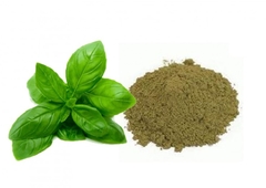Albahaca Molida X 500g - Envios a Todo El Pais - EL PORTUGUES -