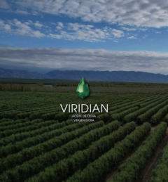 ACEITE DE OLIVA EXTRA VIRGEN CLASICO X 500mL - VIRIDIAN - en internet