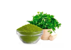 Perejil Molido X 500g - Envios Todo El Pais - EL PORTUGUES -