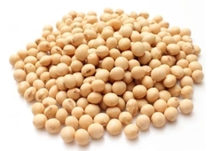 Poroto De Soja X 1 Kg - Envios a Todo El Pais - EL PORTUGUES -
