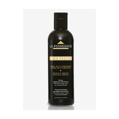 LA PUISSANCE NUTRITION C/ARGAN TRATAMIENTO X 300 ML