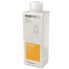 NEW MORPH REPAIR SHAMPOO X 250 ML