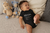 Body Baby | Poesia - comprar online