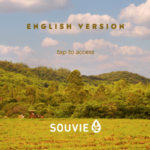 Souvie Catalog - English