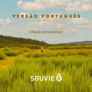 Catálogo Souvie - Português