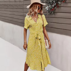 Vestido Feminino Carolina na internet