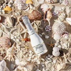 Ice White Mini - Finca Ferrer Wines