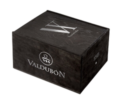 Valdubón X (Diez)