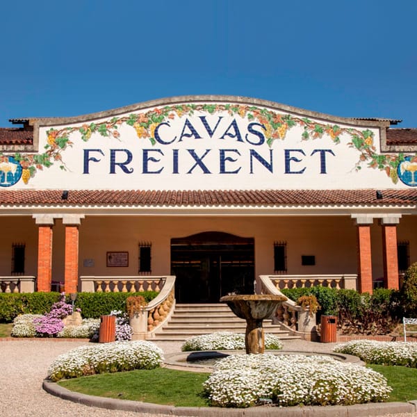 cavas freixenet