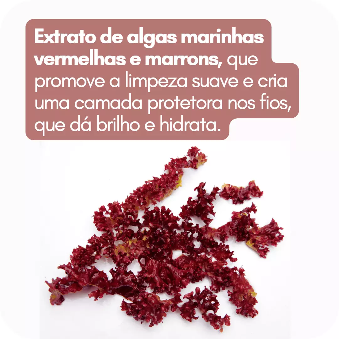 Ingredientes - Algas Marinhas Vermelhas