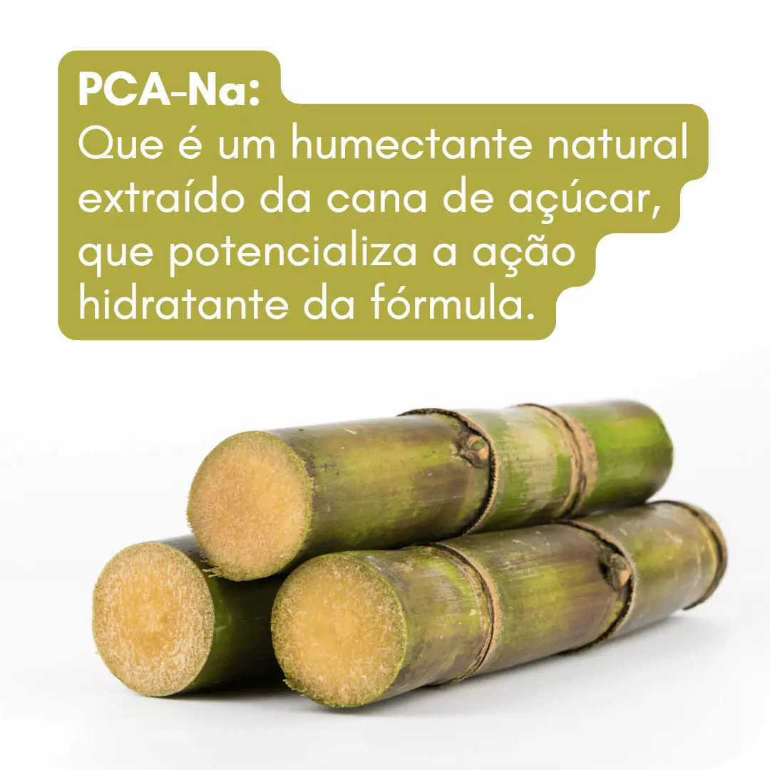 Ingredientes - PCa-Na