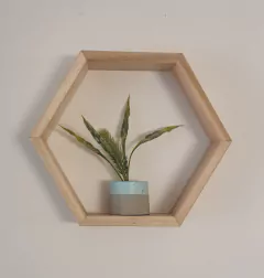 | Repisa EDO |