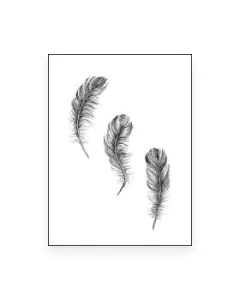 | Cuadro Plumas | Negro