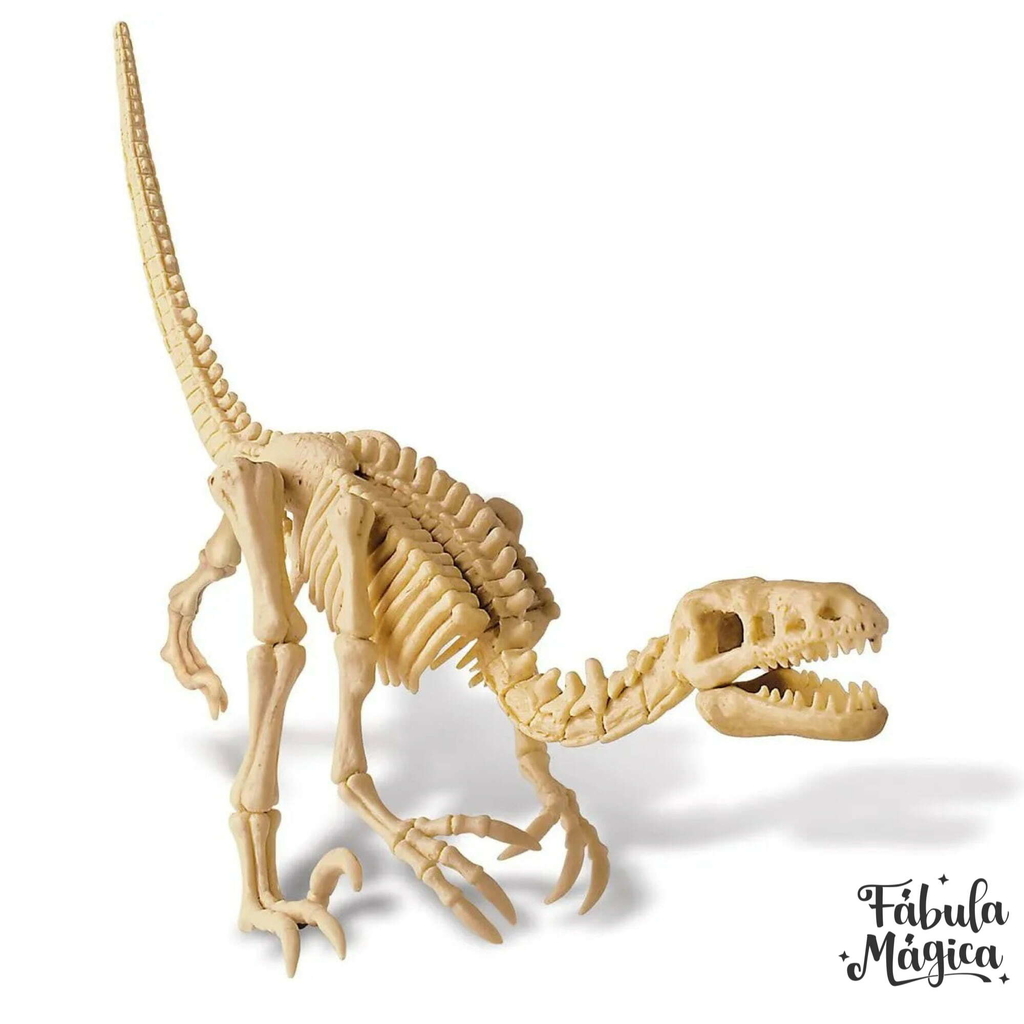 Kit de Escavação de Dinossauro Velociraptor - Educativos Brinquedos