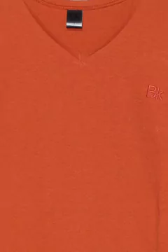 Imagen de Remera V