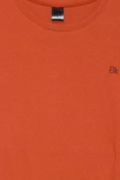 Remera Manga larga - tienda online