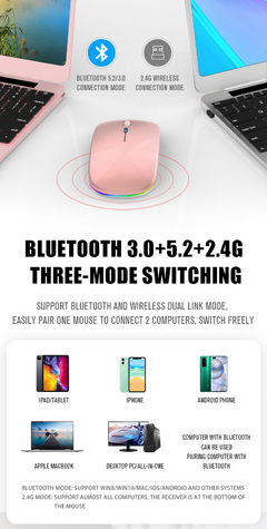 Mouse Bluetooth sem fio recarregável - Luminous 2.4G USB Wirele - BuyGuy