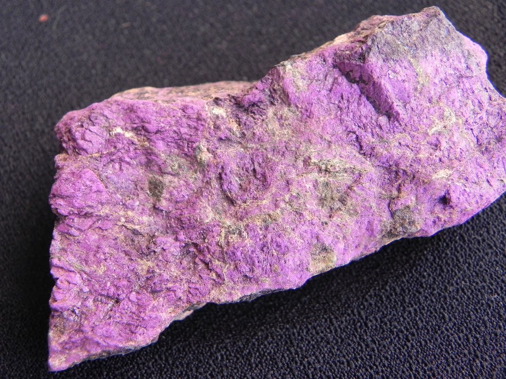 purpurita.jpg