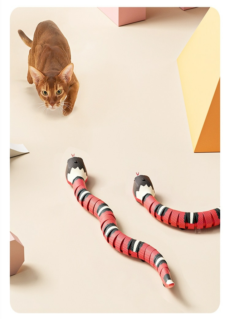 Brinquedos Inteligentes Do Gato Que Detectam O Jogo Eletrônico Automático  Interativo Do Gato Da Serpente Que Teasering Brinquedos Do Gatinho  Recarregável De Usb Para Gatos Cães Pet - Brinquedos Para Gatos - AliExpress