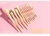 Pincéis de Maquiagem Cosméticos Conjunto Completo 3 Cores