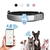 GPS para coleira - Um olho no peixe e outro no gato