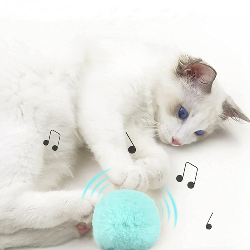 Gato | Brinquedo gato interativo interno,Brinquedo bola gatinho para manter  seu gato saudável, entretido, jogo interativo, decoração festa, jogo