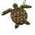 Aretes tortuga - comprar en línea