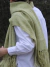 Pashminas Llama