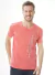 Remera estampada de algodón - DCD CLOTHES en internet