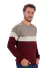 Sweaters combinados - DCD indumentaria masculina