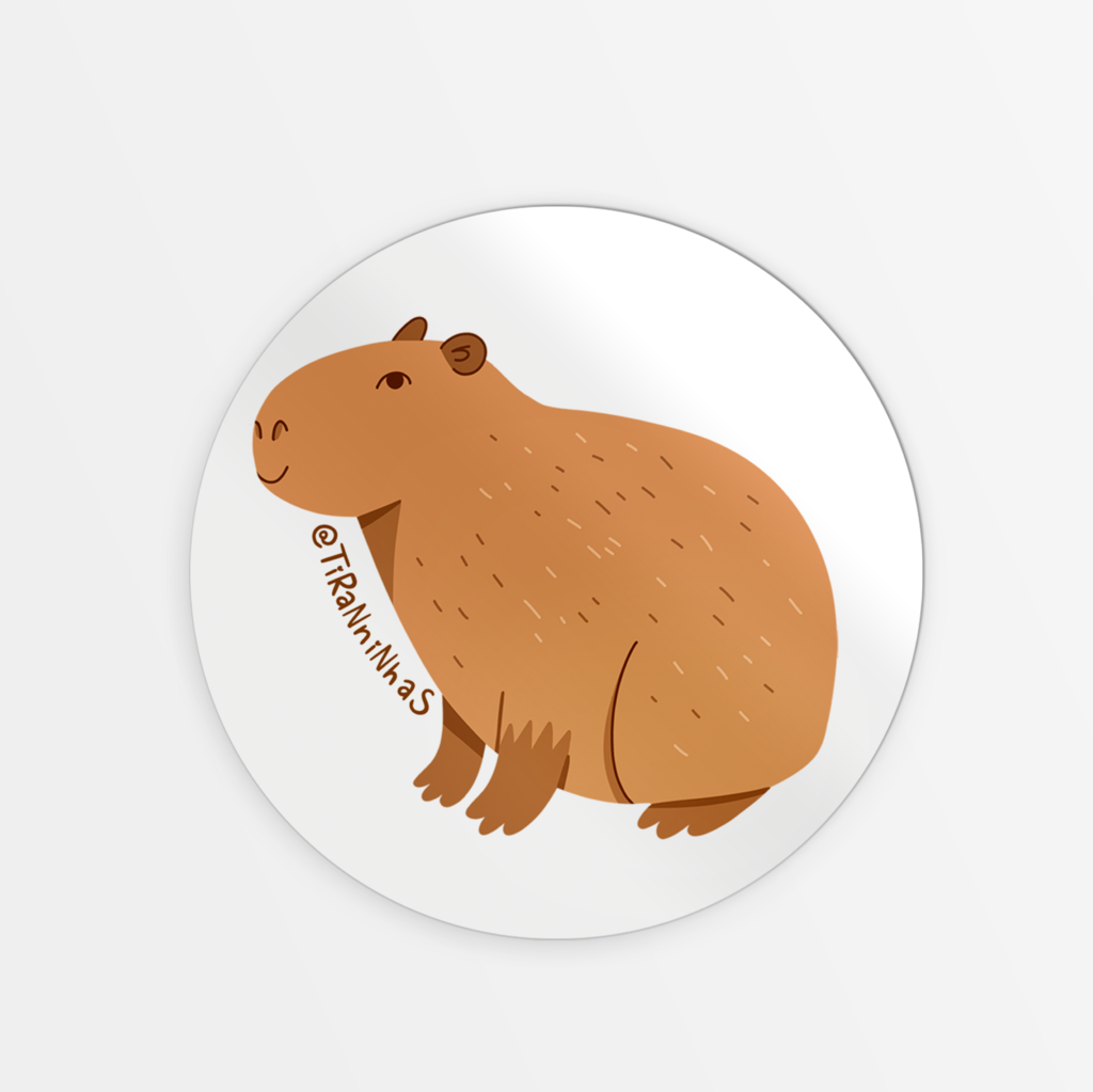 Jogo americano impermeável Capybara 30,5 x 45,7 cm, conjunto de 4, capivara  para jantar, pátio, mesa, cozinha, copa, desenho animado, capivara de  animais, tapetes de lugar para amantes de animais, jogos americanos