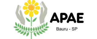 Apae Bauru