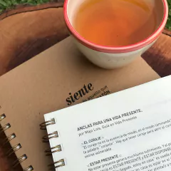 Cuaderno - Siente Infusiones