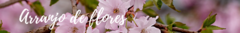 Banner da categoria Arranjo de Flores