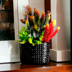 Arranjo de Plantas Suculentas no Vaso Porcelana Preto - comprar online