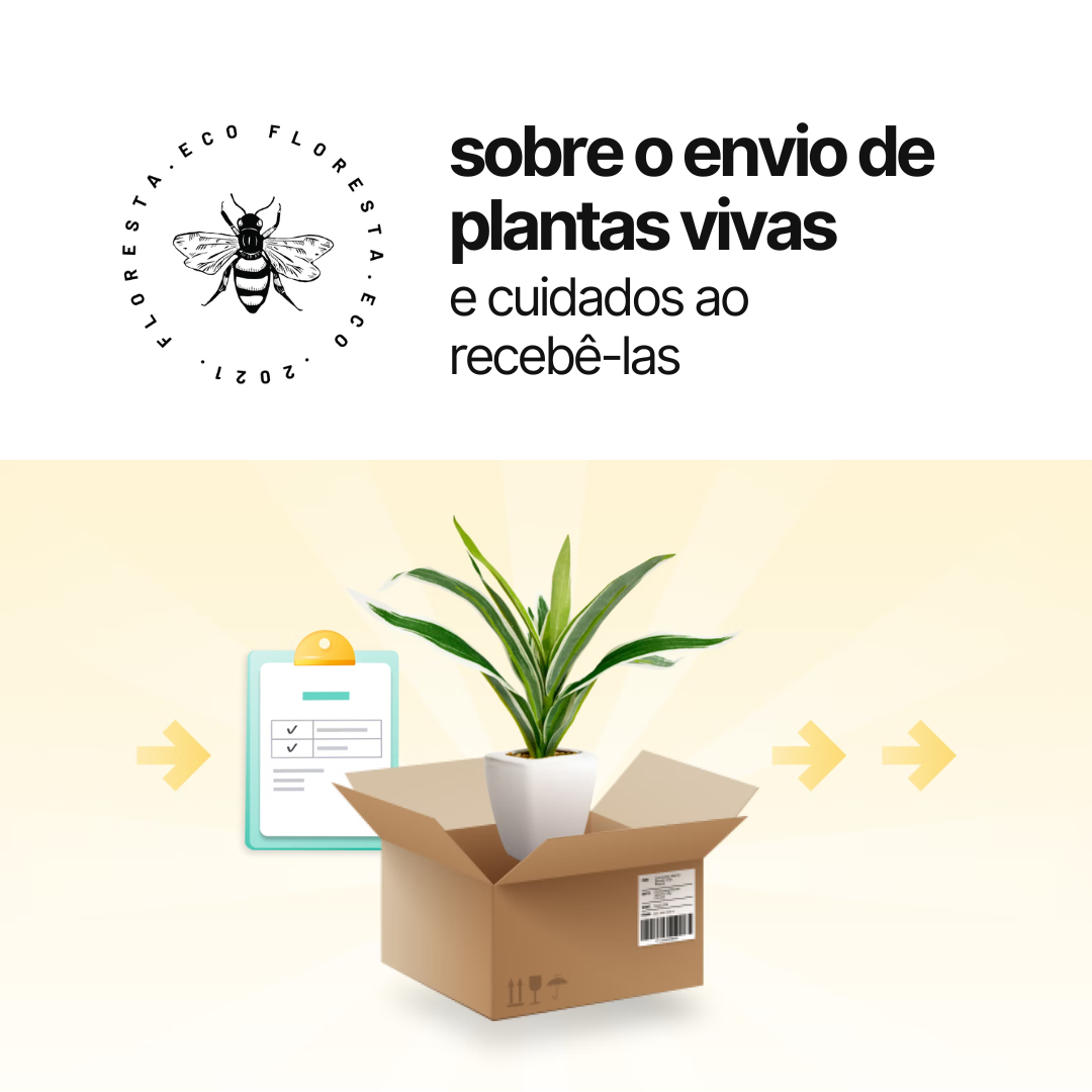 Como a floresta.eco envia suas plantas