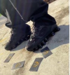 Nike Shox 12 Molas TL Nova – Preto