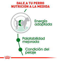 Royal Canin Raza Pequeña Adulto, 13.6 kg - comprar en línea