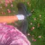 VEGAN PARKER SHOES en internet