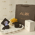 Anel de Formatura Alhena Ouro 18K na internet