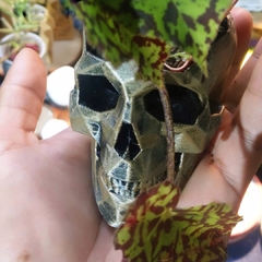 CALAVERA EN IMPRESIÓN 3D