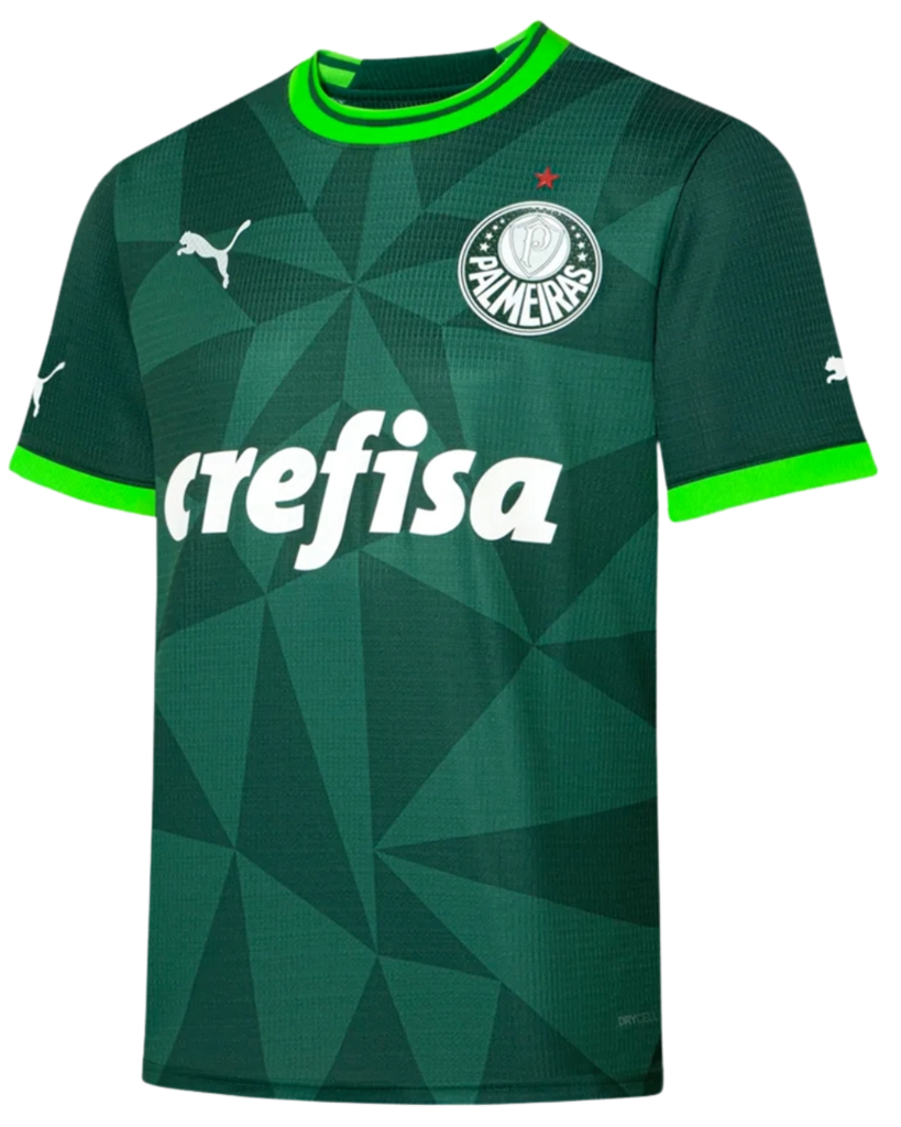 Camisa Palmeiras Casa 2023 Puma - Torcedor / VERDE