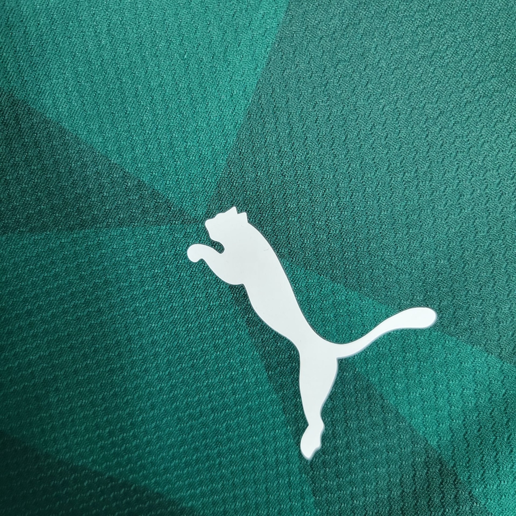 Camisa Palmeiras Casa 2023 Puma - Torcedor / VERDE