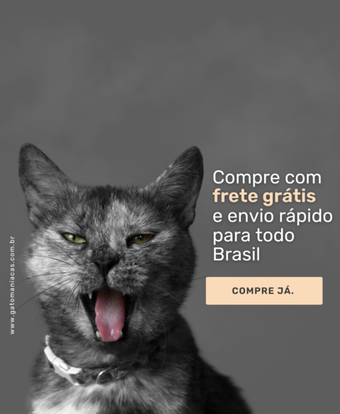 Carrossel 1