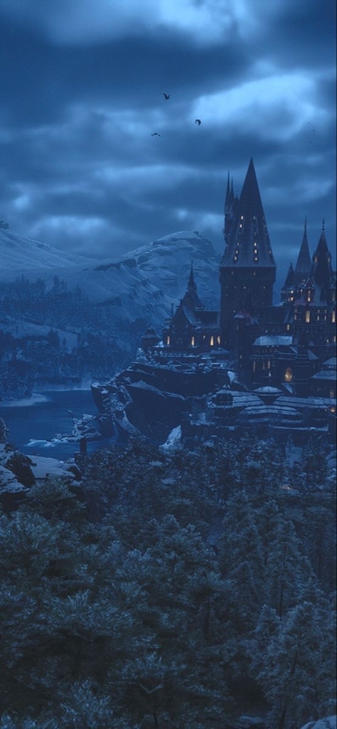 Hogwarts Legacy Ps4 Mídia Física Lacrado