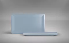 Plato Rectangular Chico en internet