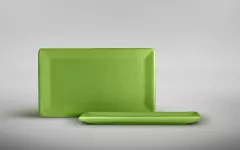 Plato Rectangular Chico - comprar online
