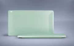 Plato Rectangular Grande - tienda online