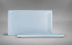 Imagen de Plato Rectangular Grande